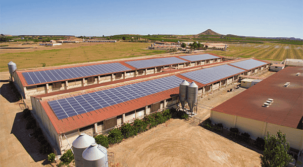 Instalación fotovoltaica especializada en el sector agropecuario Insolen